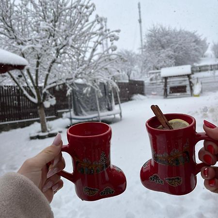Vila Georgeta Zărneşti Екстериор снимка