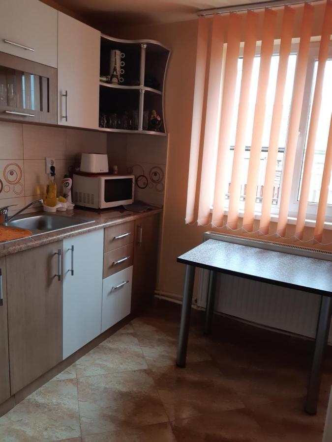 Vila Georgeta Zărneşti Екстериор снимка