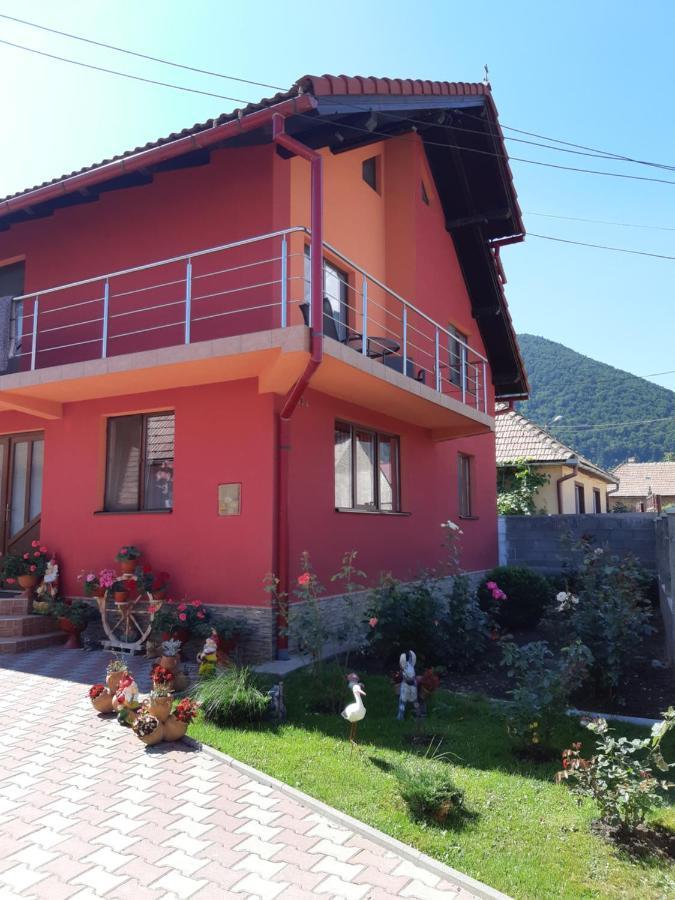 Vila Georgeta Zărneşti Екстериор снимка