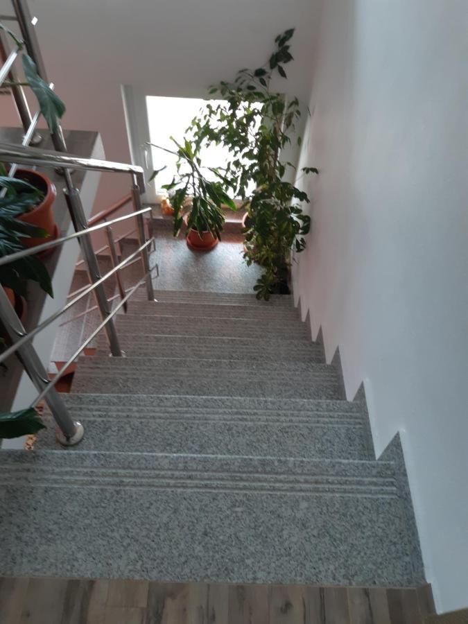 Vila Georgeta Zărneşti Екстериор снимка