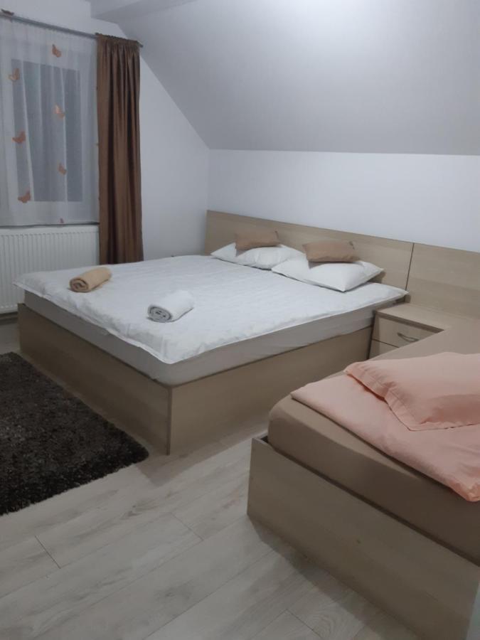 Vila Georgeta Zărneşti Екстериор снимка