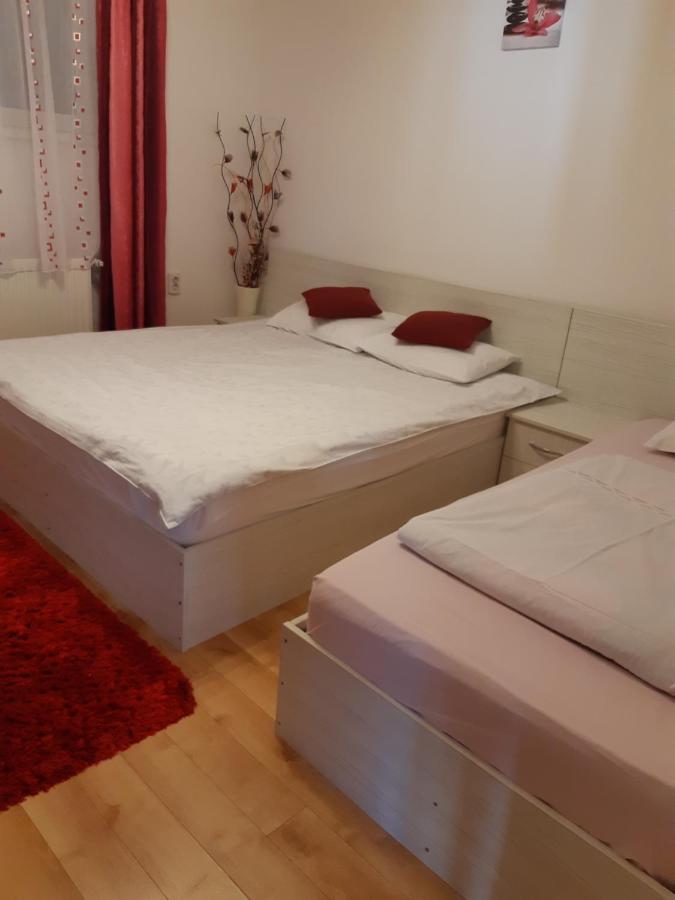 Vila Georgeta Zărneşti Екстериор снимка