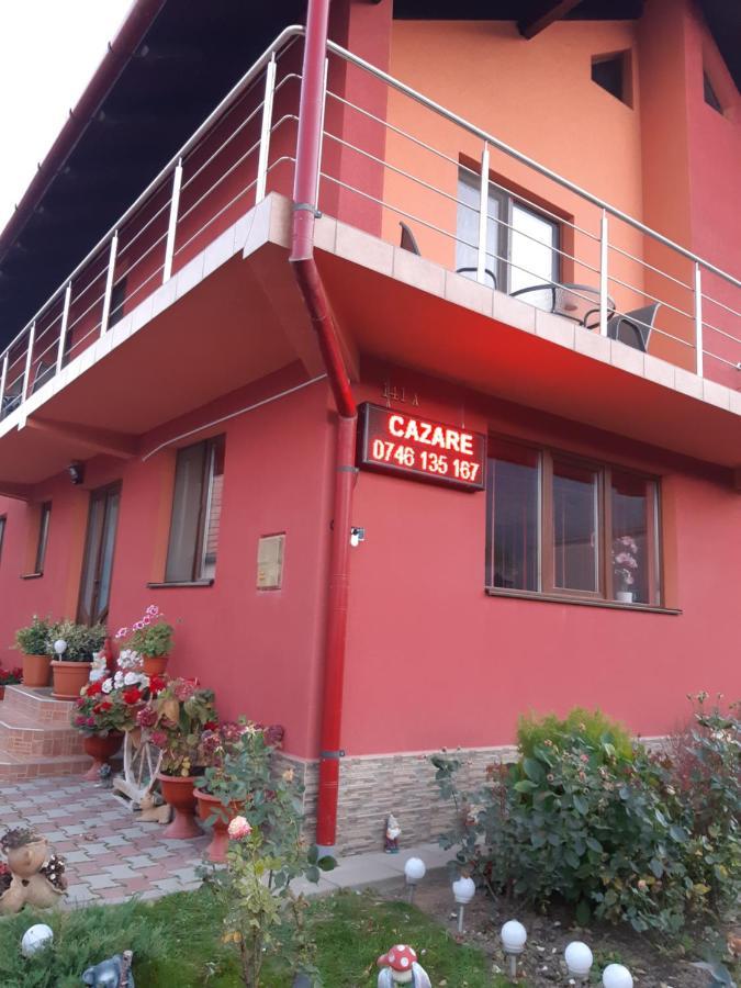 Vila Georgeta Zărneşti Екстериор снимка