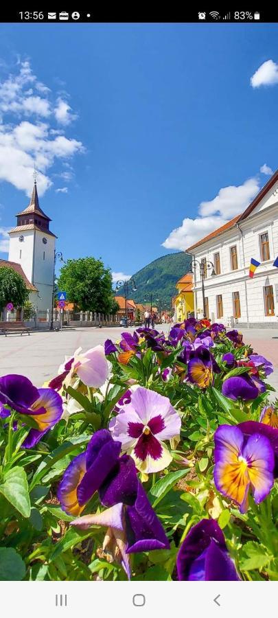Vila Georgeta Zărneşti Екстериор снимка