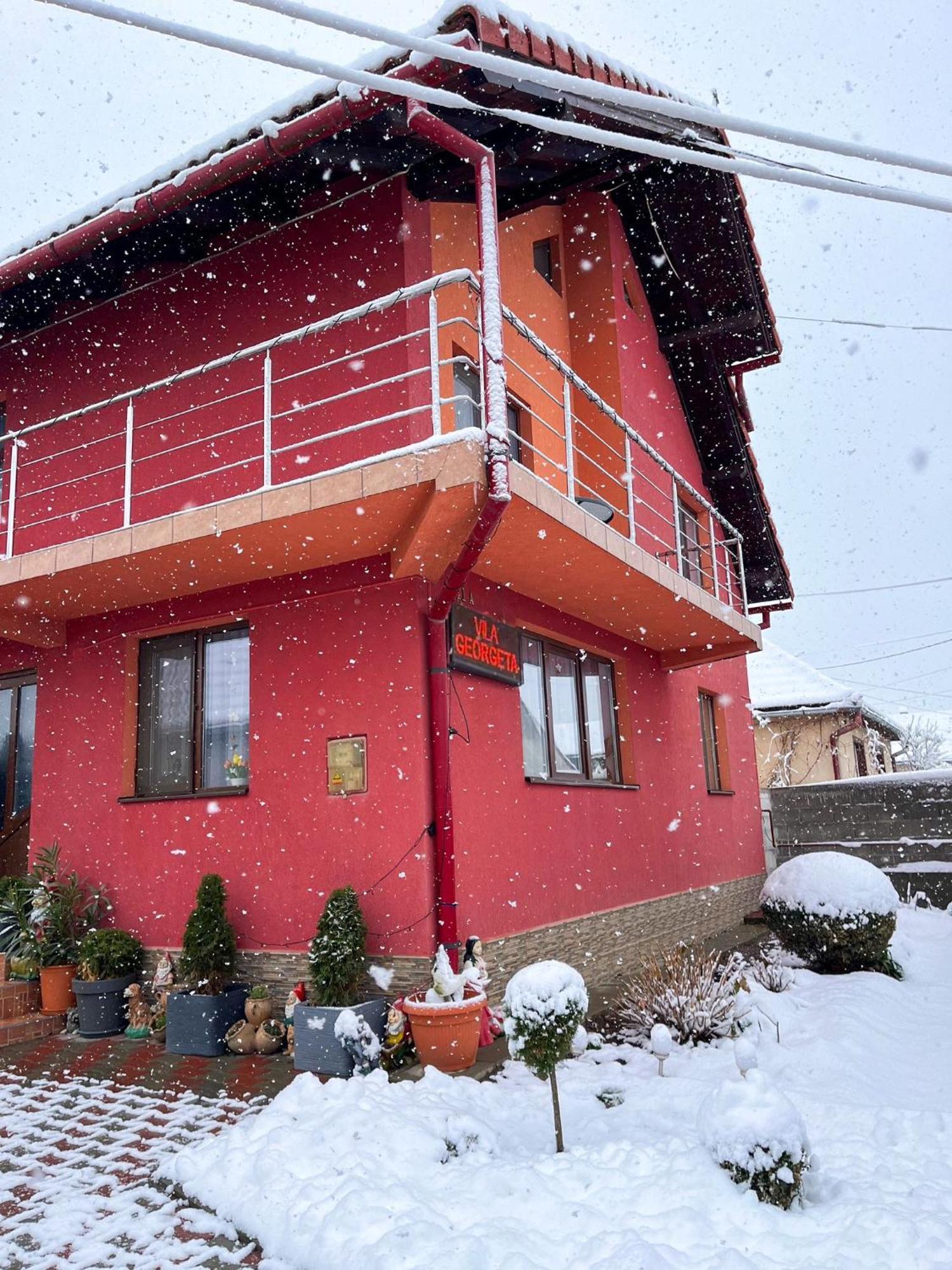 Vila Georgeta Zărneşti Екстериор снимка